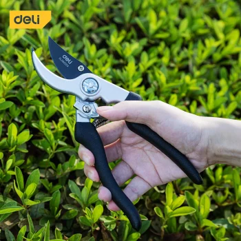 מזמרה מבית Deli במחיר מתנה ומשלוח מהיר חינם!
