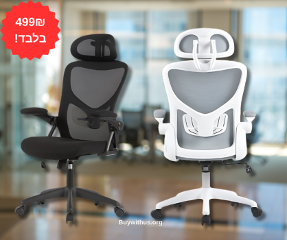 כסא מחשב ארגונומי Fizzio Reel – נוחות ועיצוב במחיר שובר שוק של 499 ש"ח בלבד!