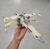 ערכת לבני הרכבה חללית מלחמת הכוכבים X-Wing Starfighter במחיר בדיחה!