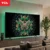 טלוויזיה TCL 75C6K 75 אינץ׳ QD-Mini LED ו־144Hz