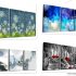 חגיגות 5 שנים לקונים נכון Buywithus – כל הסיילים, כל הקופונים וכל המתנות!
